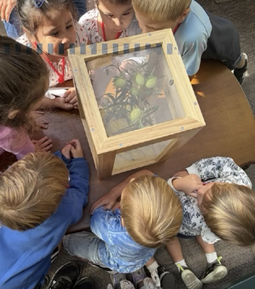 elementary students looking at vegetables from a garden
