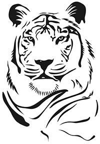 JCHS Tiger Image