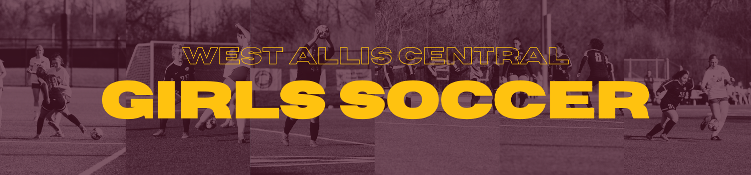 Girls soccer team photos banner