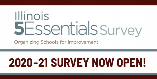 5 Essential Survey Featured Photo