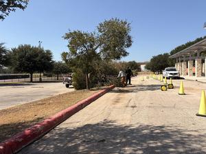 Two workers clearing branches from a fallen tree next to a pickup truck.