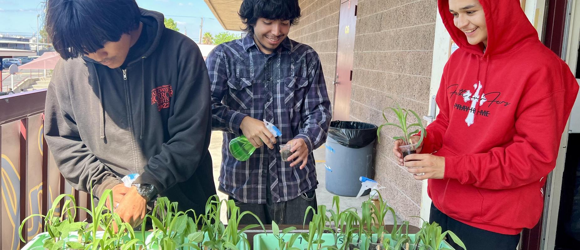 Ms. Vo's Science Class Project