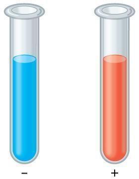 test tube