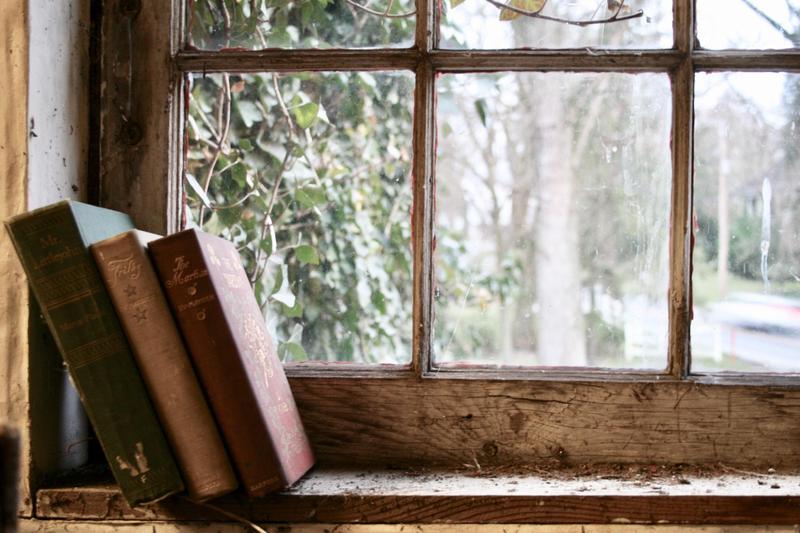 christmas books at the window
