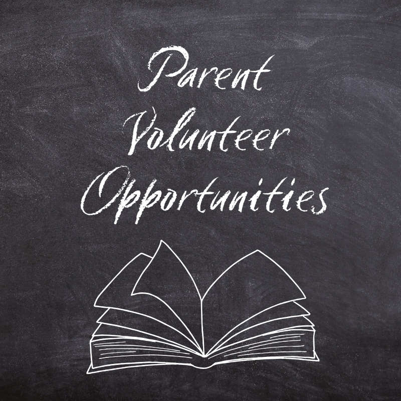 Volunteer Opportunities