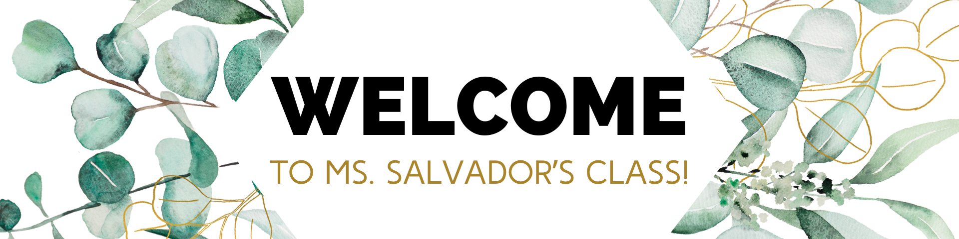 Welcome to Ms. Salvador's Class!