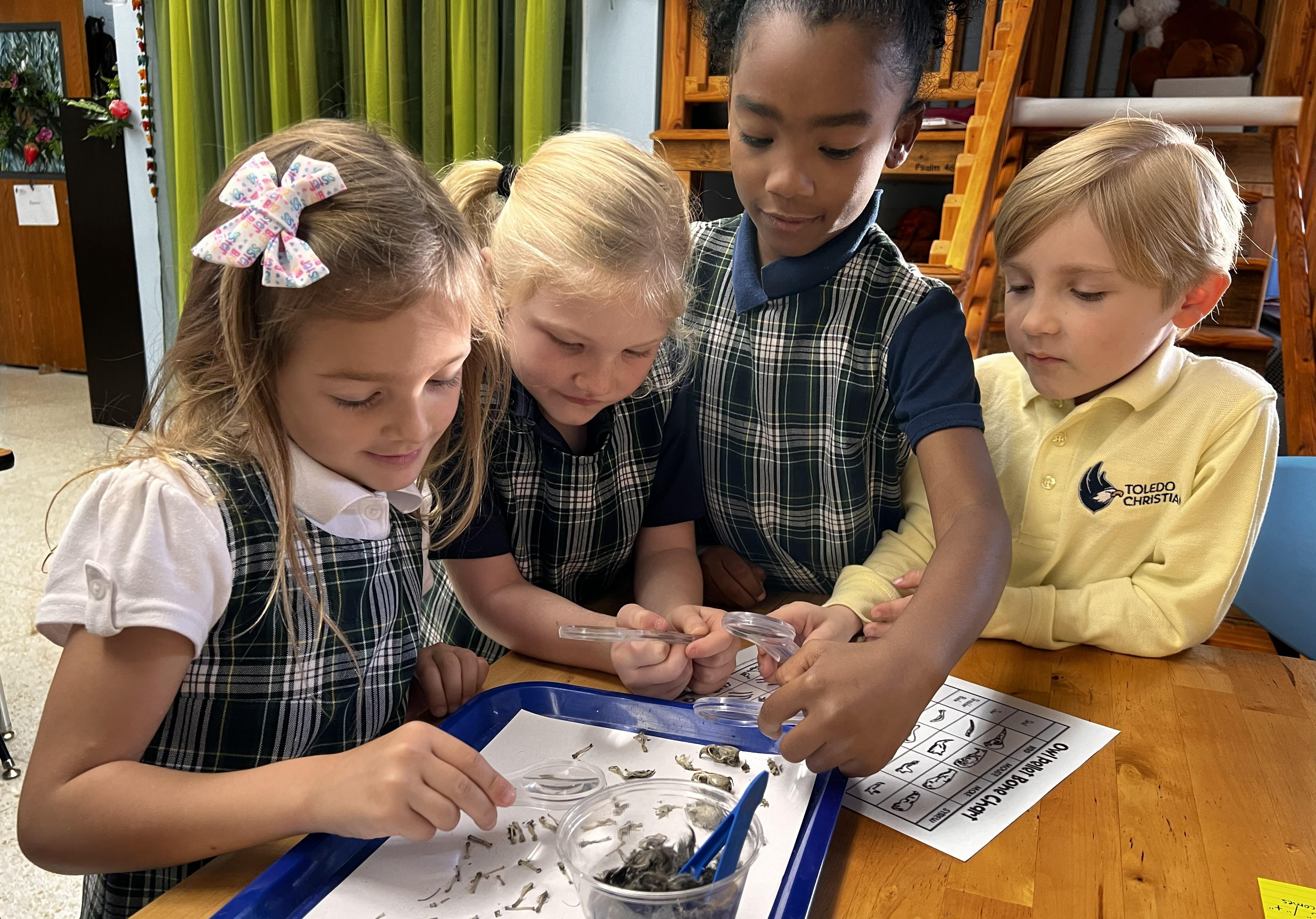 students working together