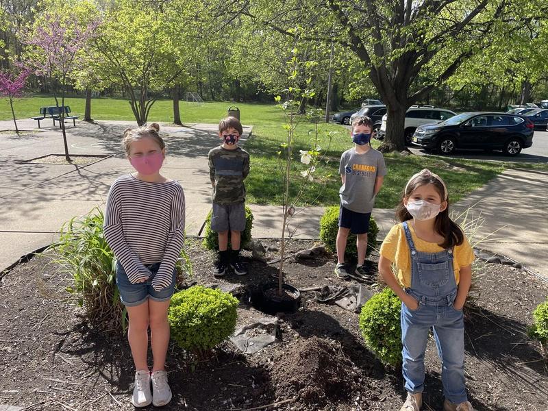 Arbor day