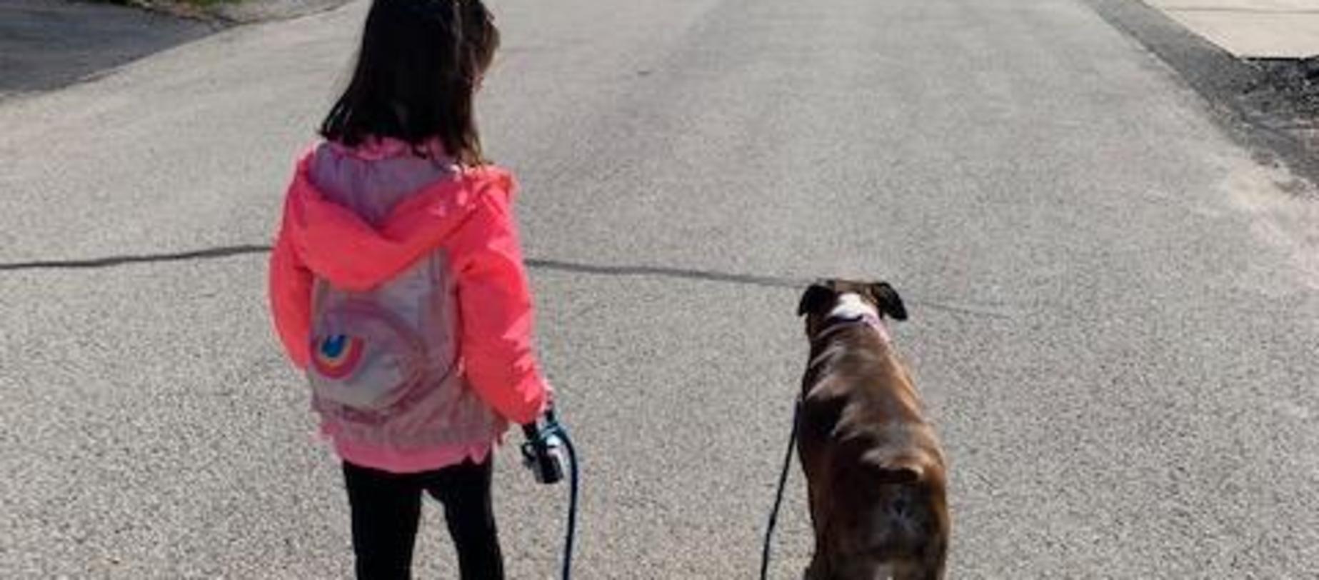 student walking their dog