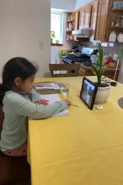 PS 229 Emanuel Kaplan