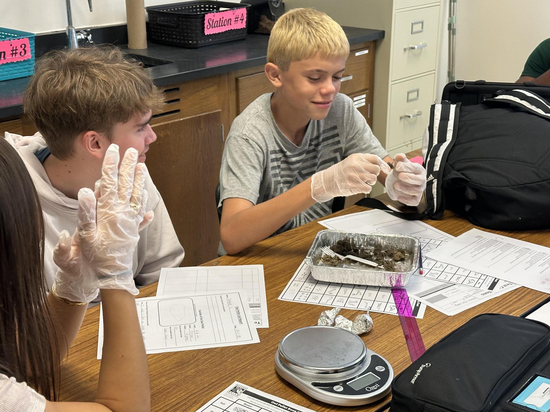 Students examine rocks, wearing gloves and working together at a classroom table.