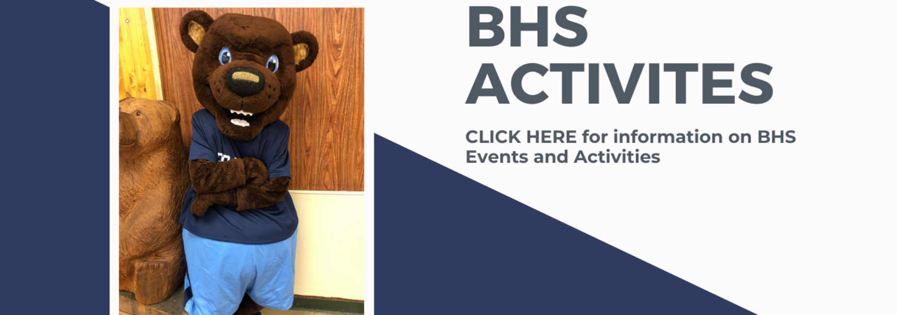 BHA Activities Website