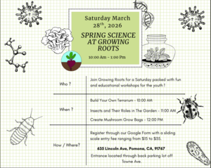 Spring Science at Growing Roots