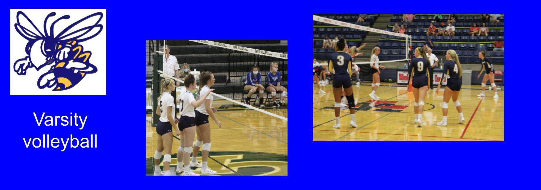 volleyball