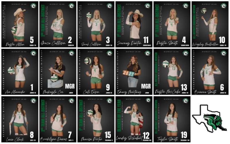 Lady Dawg Volleyball District and State Recognition! Featured Photo