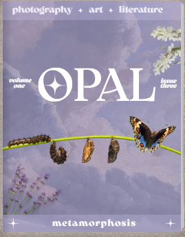 cover of OPAL magazine issue 3 with butterflies