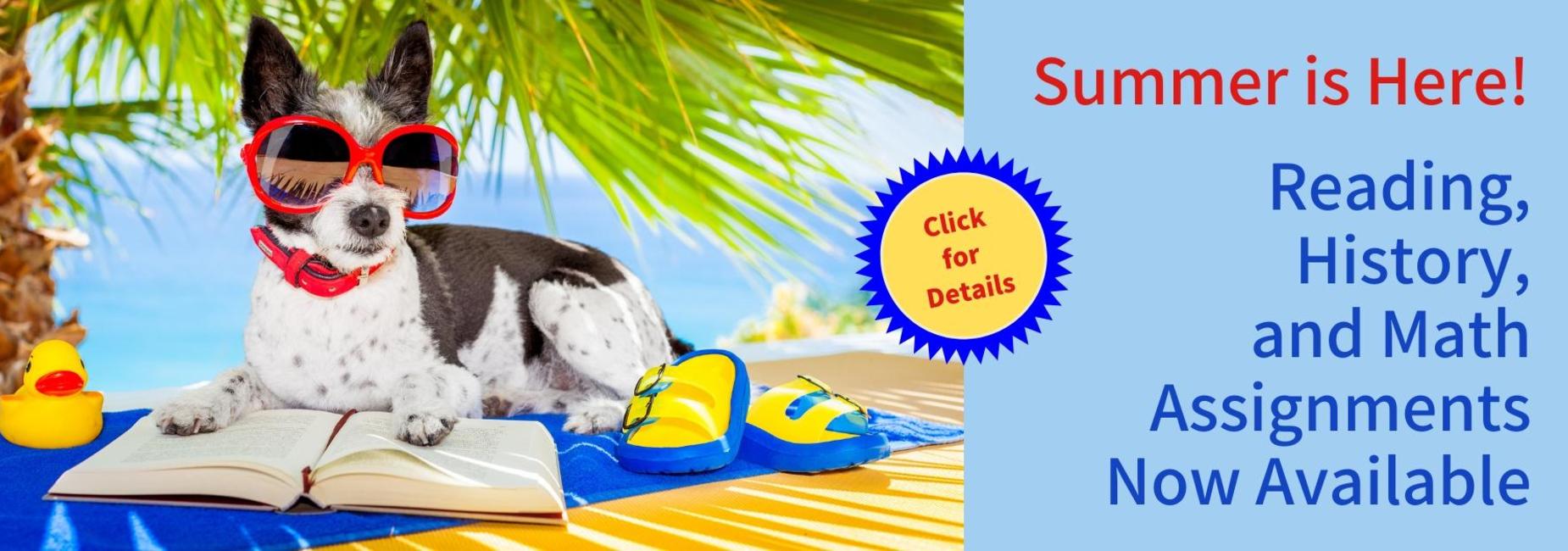 A dog wearing sunglasses sits on a beach towel with a book and colorful flip-flops.