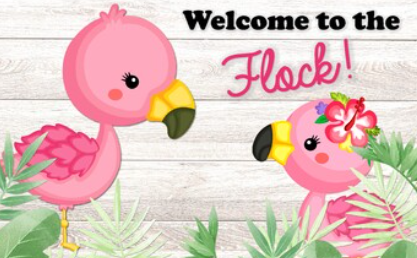 BTS flamingo