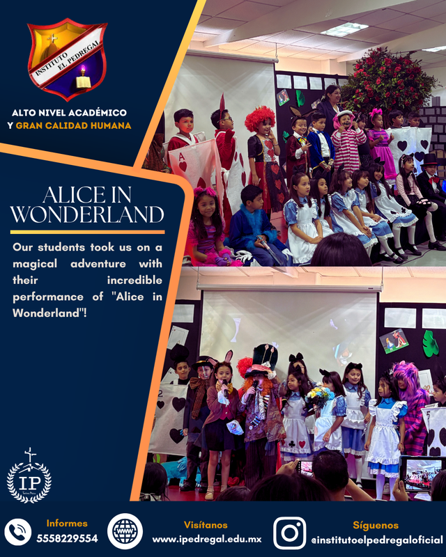 Down the rabbit hole with 2nd Grade! Featured Photo