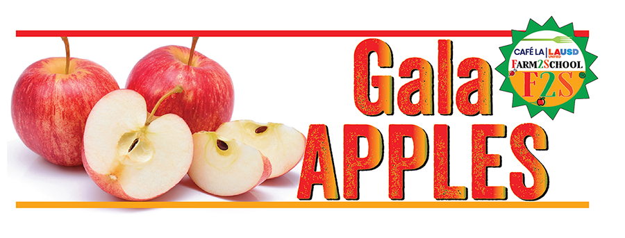 gala apples