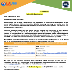 Informational Flyer- invitation