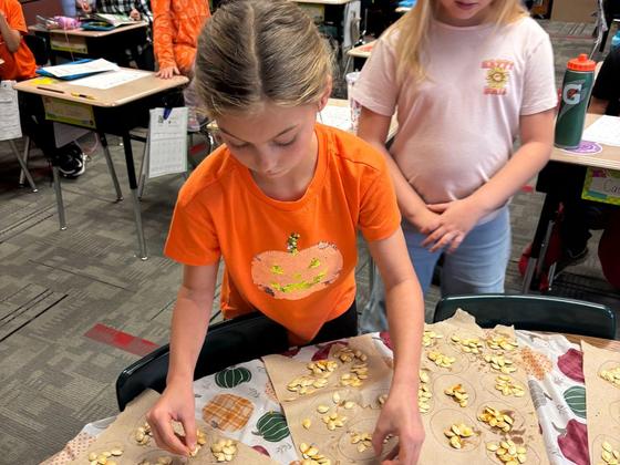 Pumpkin Seed Counting