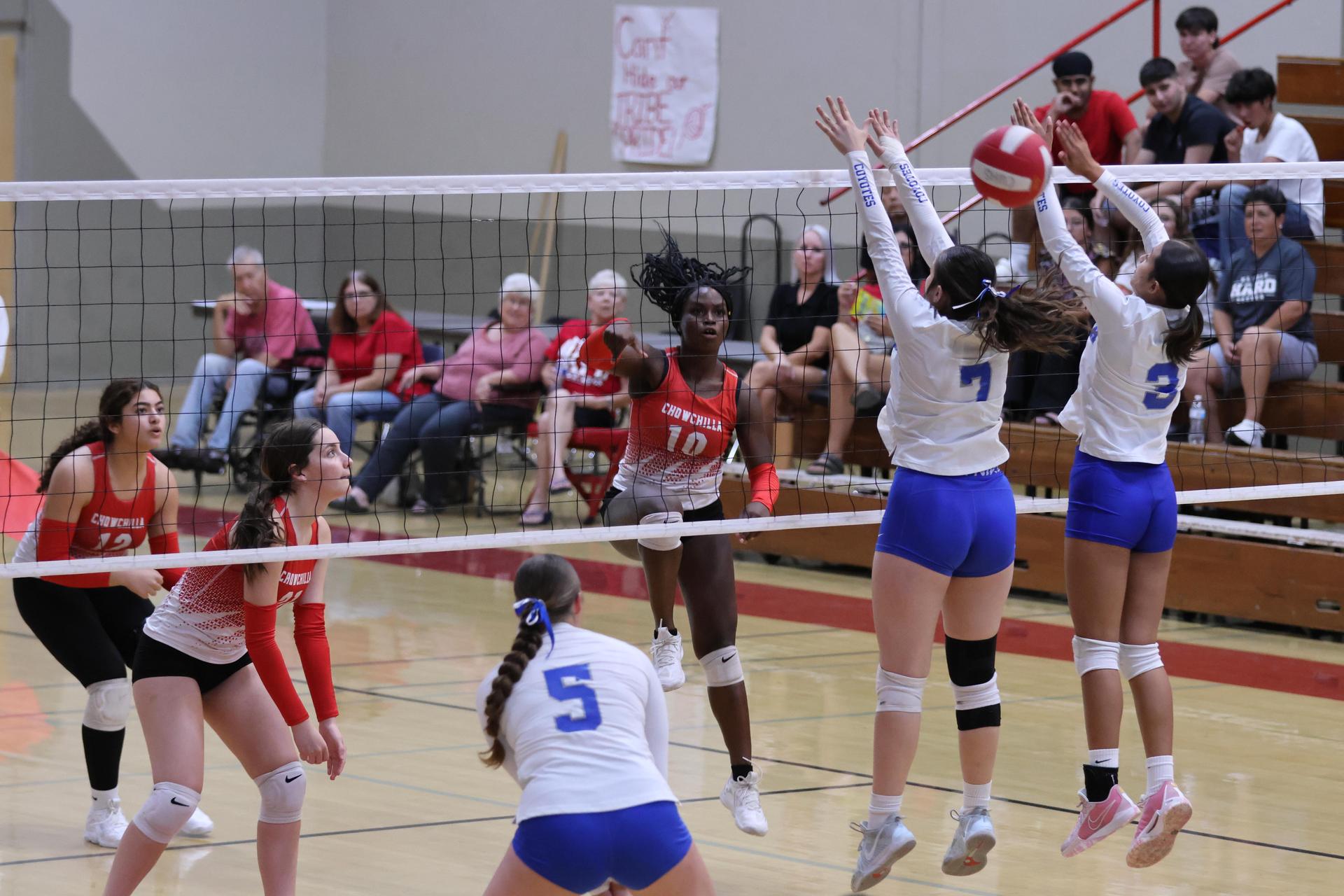 Varsity girls Volleyball playing vs. Madera 55