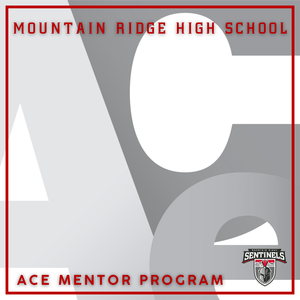 Ace Mentor Program
