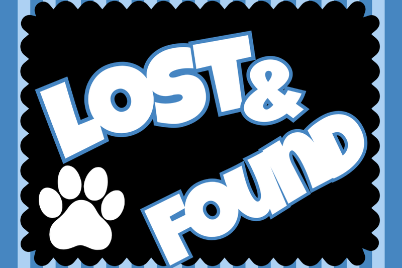 Lost + Found Logo