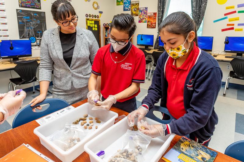 Dedicated Staff School of Science and Technology