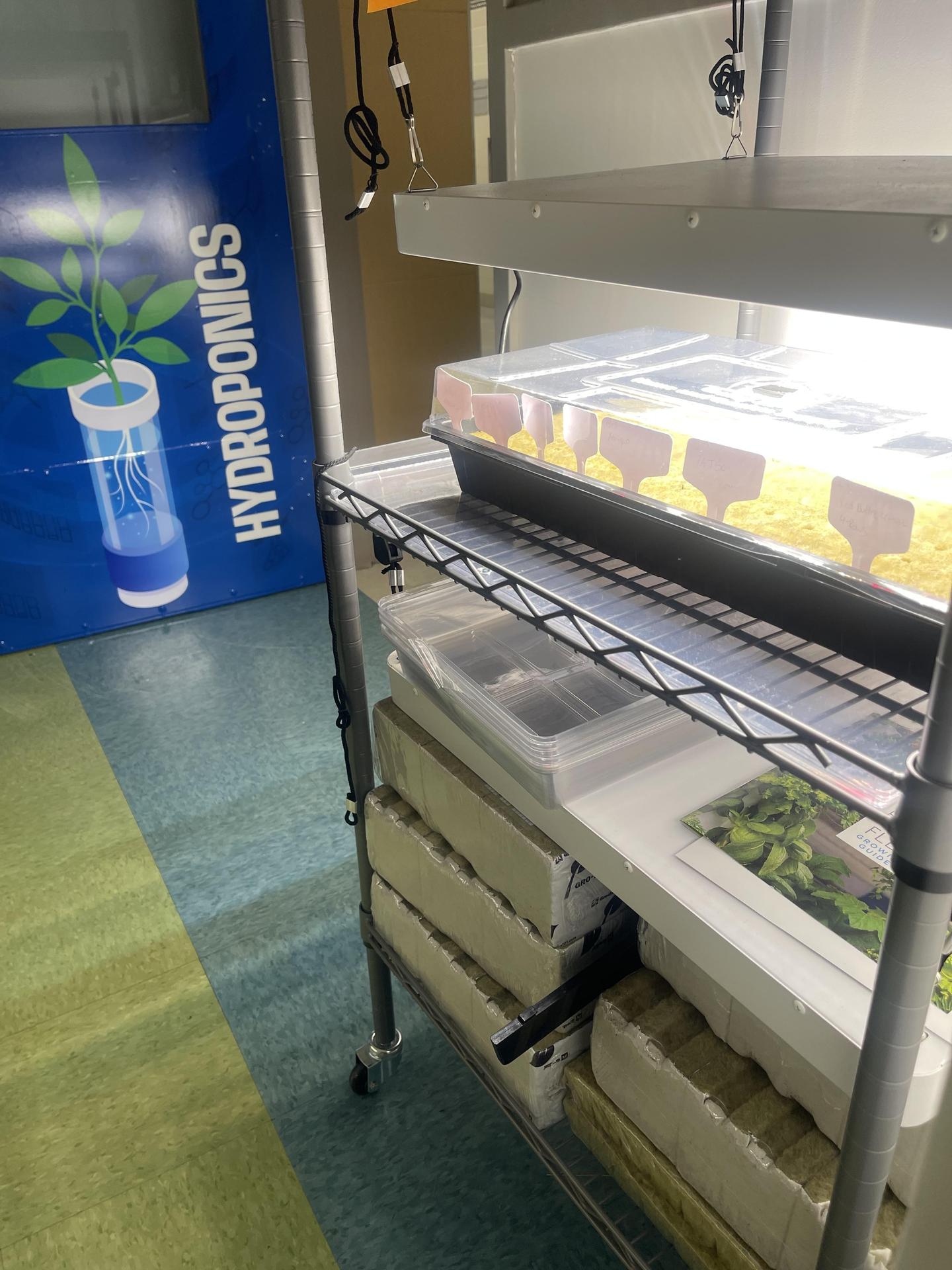 Hydroponic 