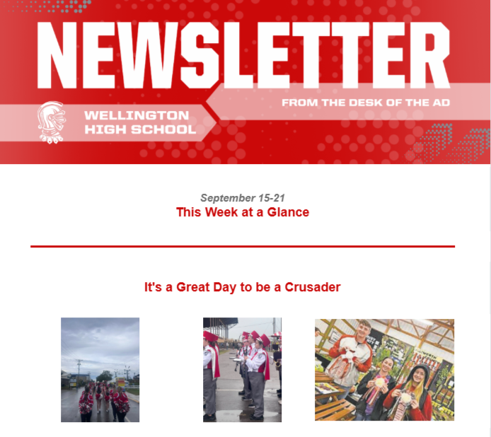 newsletter preview