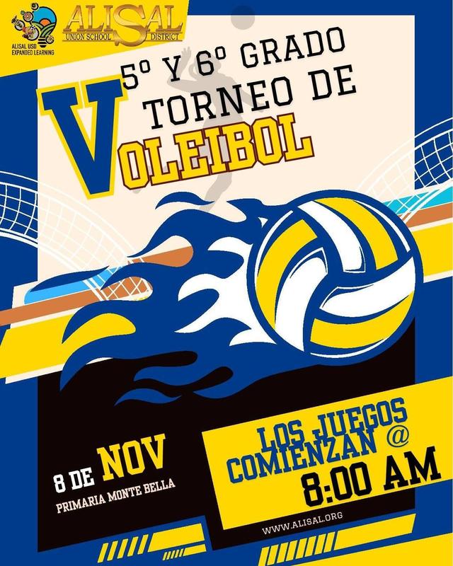 Flier volleball championship