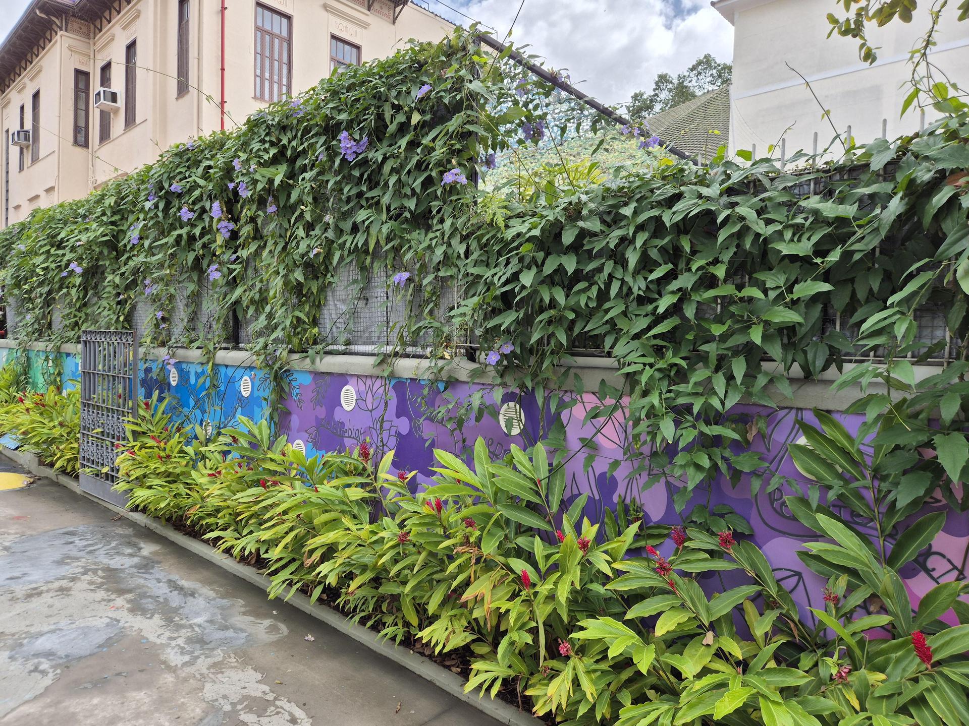 landscaping