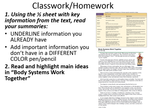 Organ Systems HW.PNG