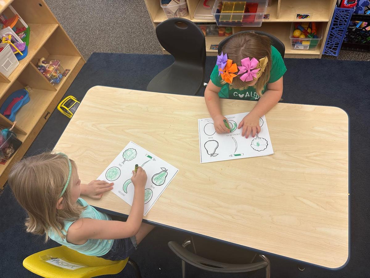 All about the color green Coal City Community Unit School District 1