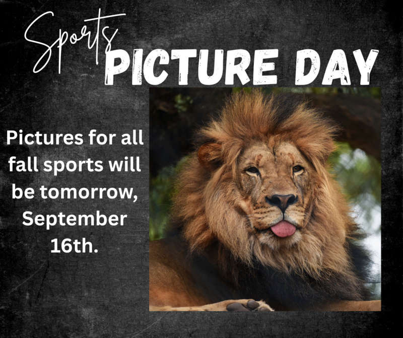 Fall Sports Pictures