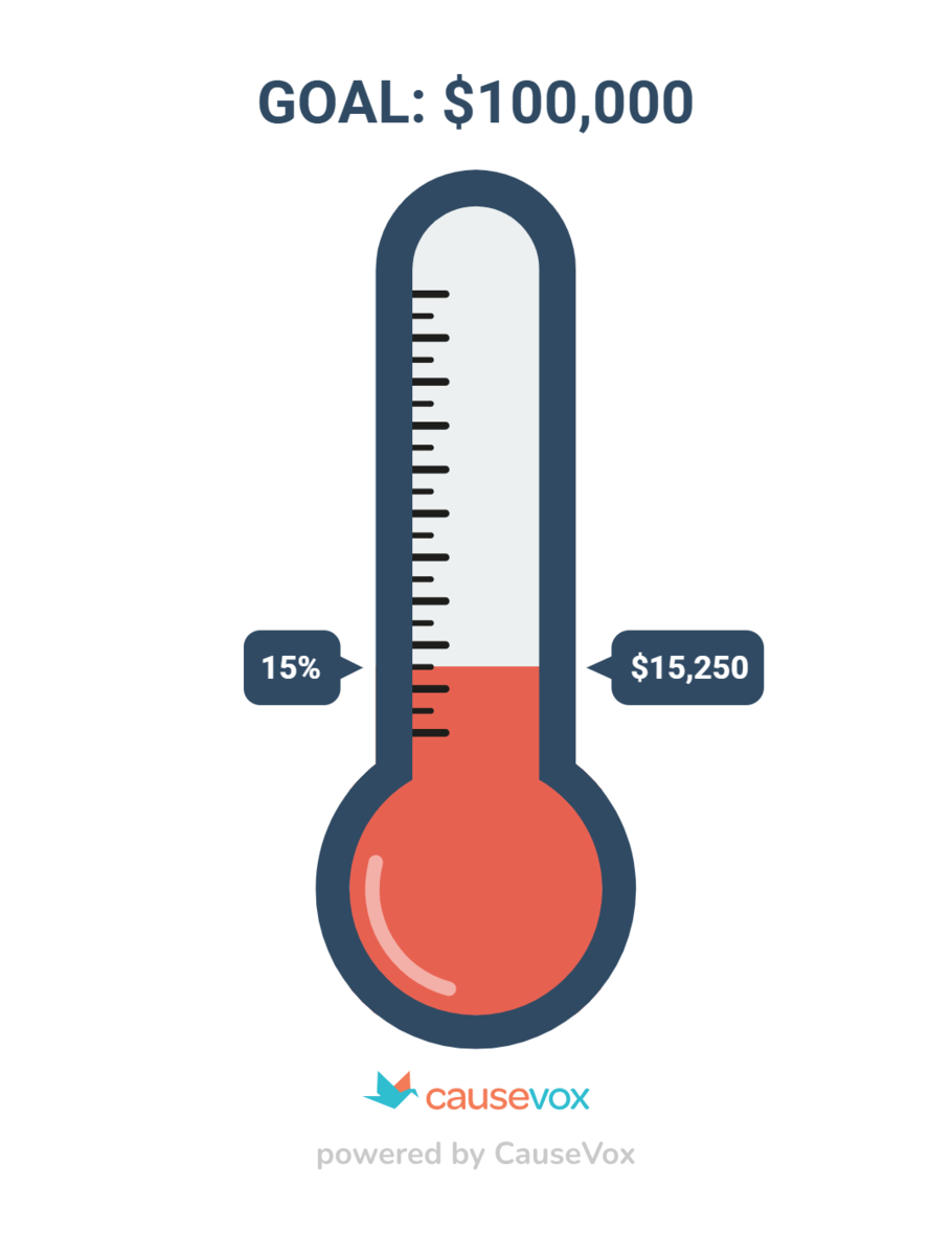 Donations received versus goal