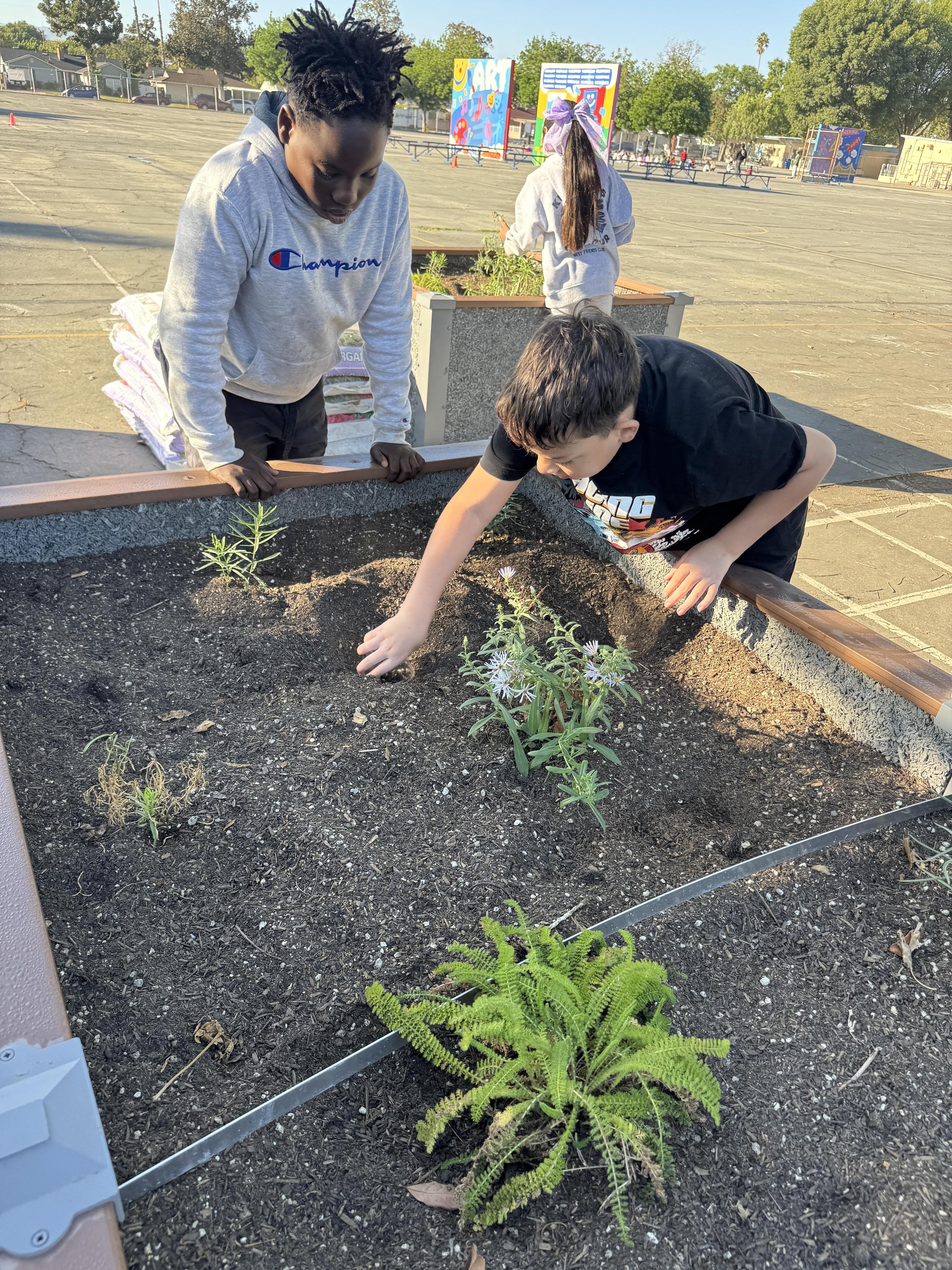 Students working on stewardship project