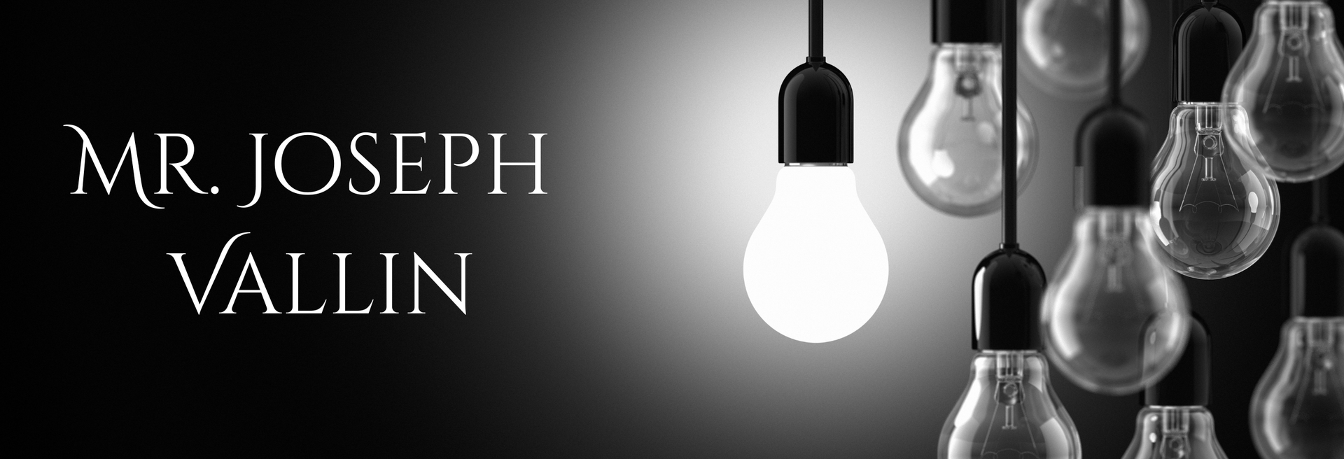 instructional coach banner with light bulbs in the background and only one of them is lit up