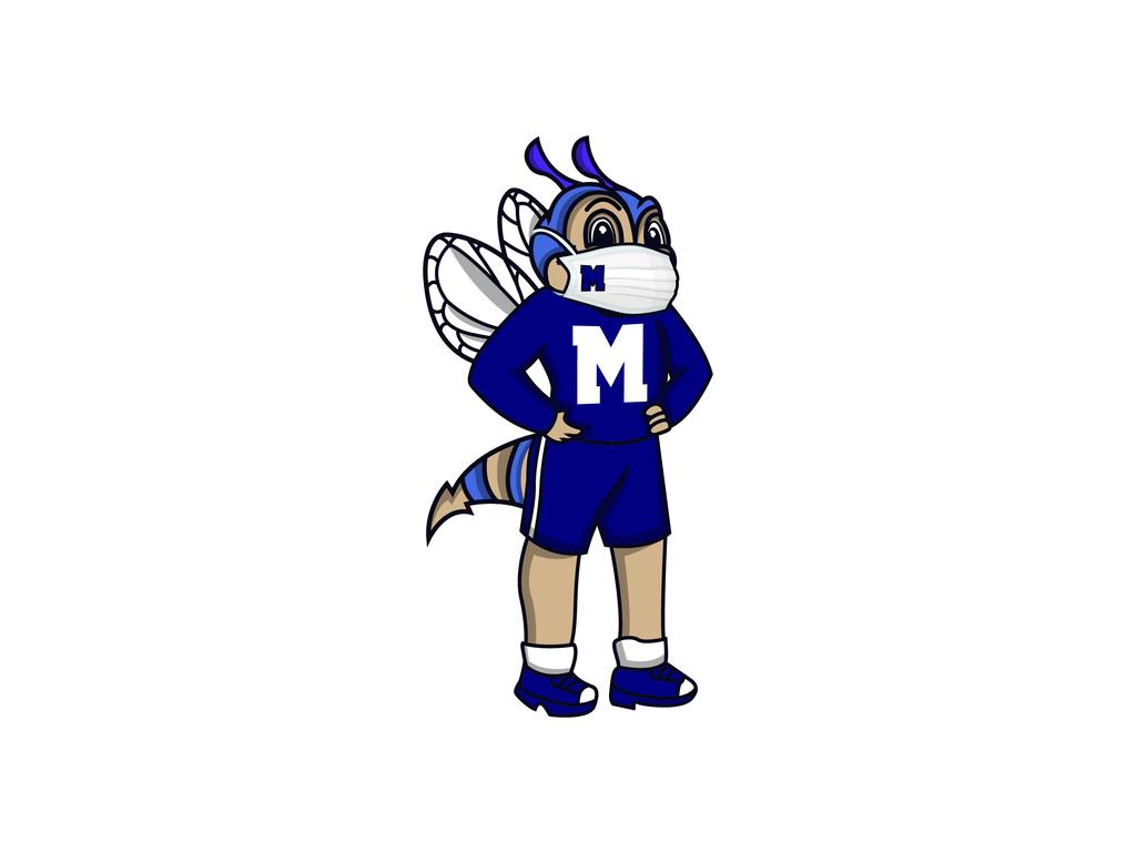 Howie the Mascot in a mask