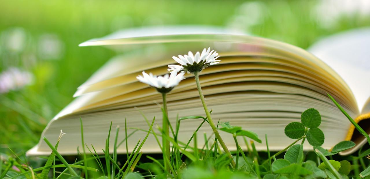 book and flower