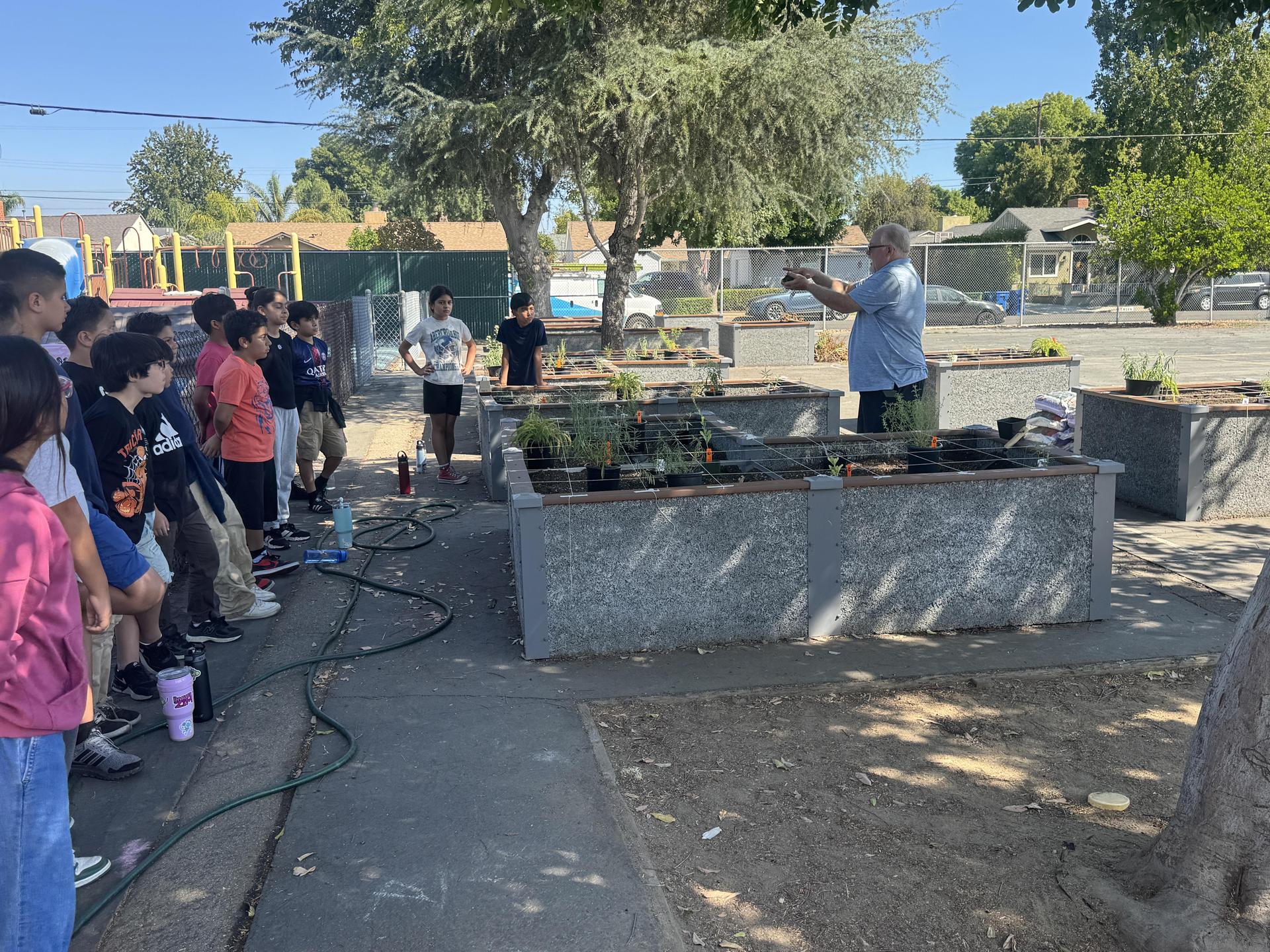 Lorne's Monarch Butterfly Sanctuary Garden