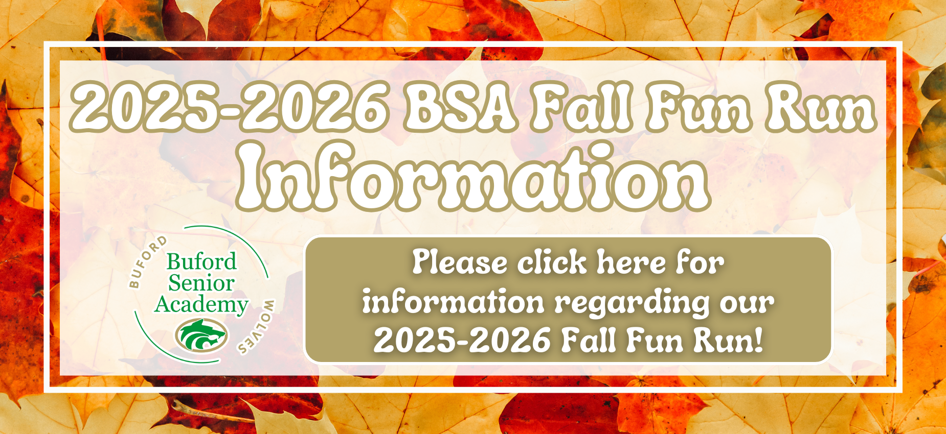 Fall Fun Run Information