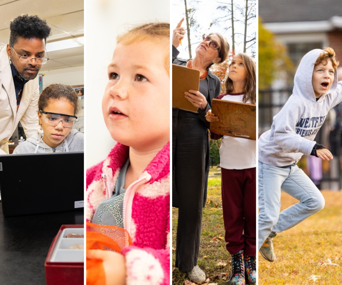 view from my window page