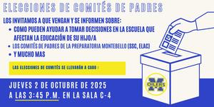 Voting image with election info in Spanish