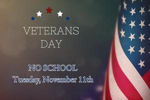 Veterans Day american flag and stars