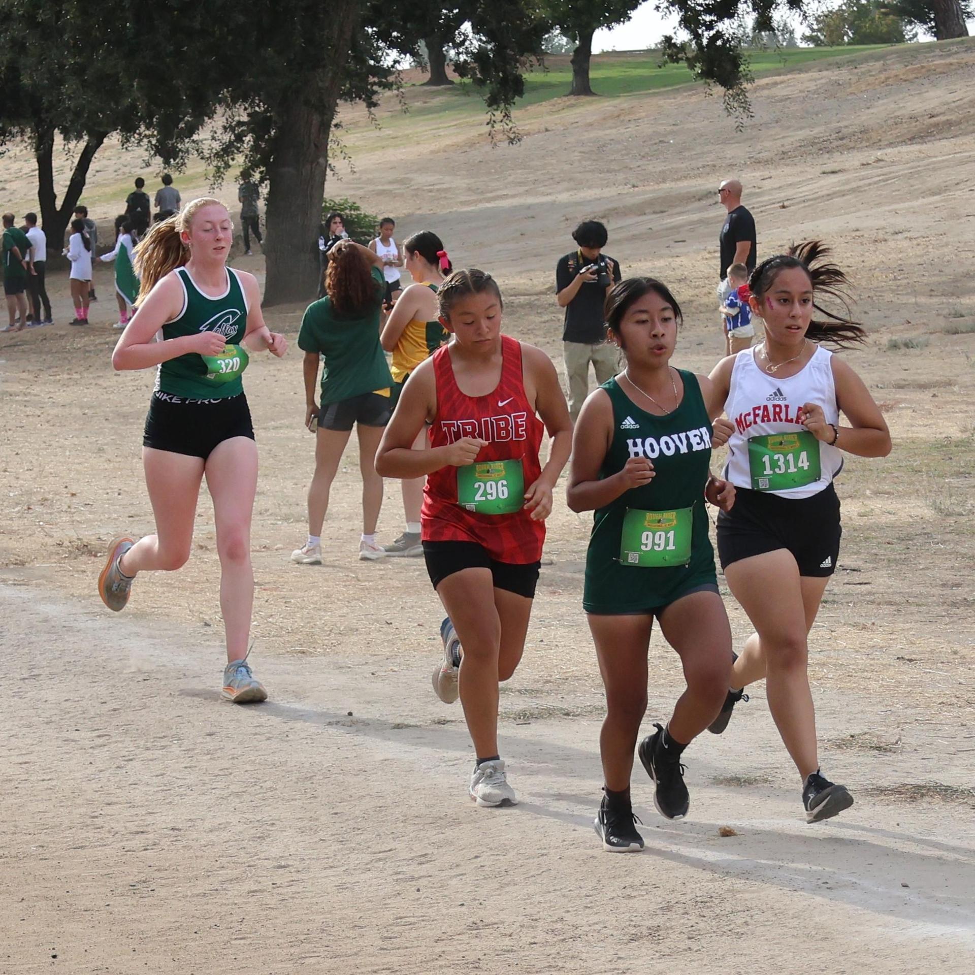 cross country runners in action