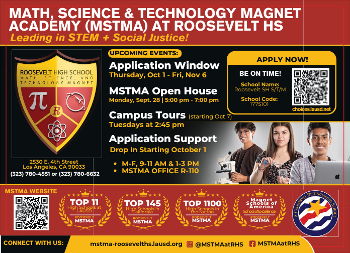 MSTMA Flyer