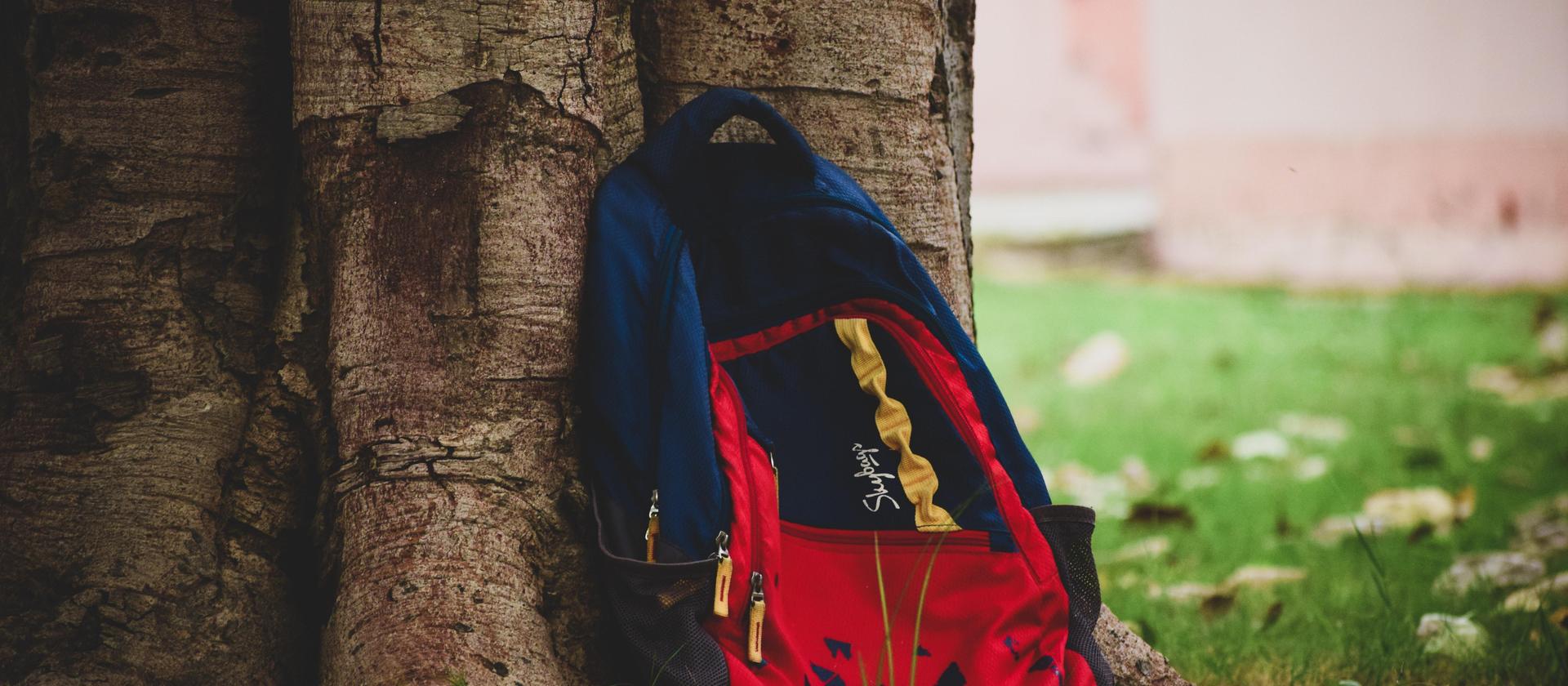 A red and blue backpack leaning against a tree trunk on grassy ground.